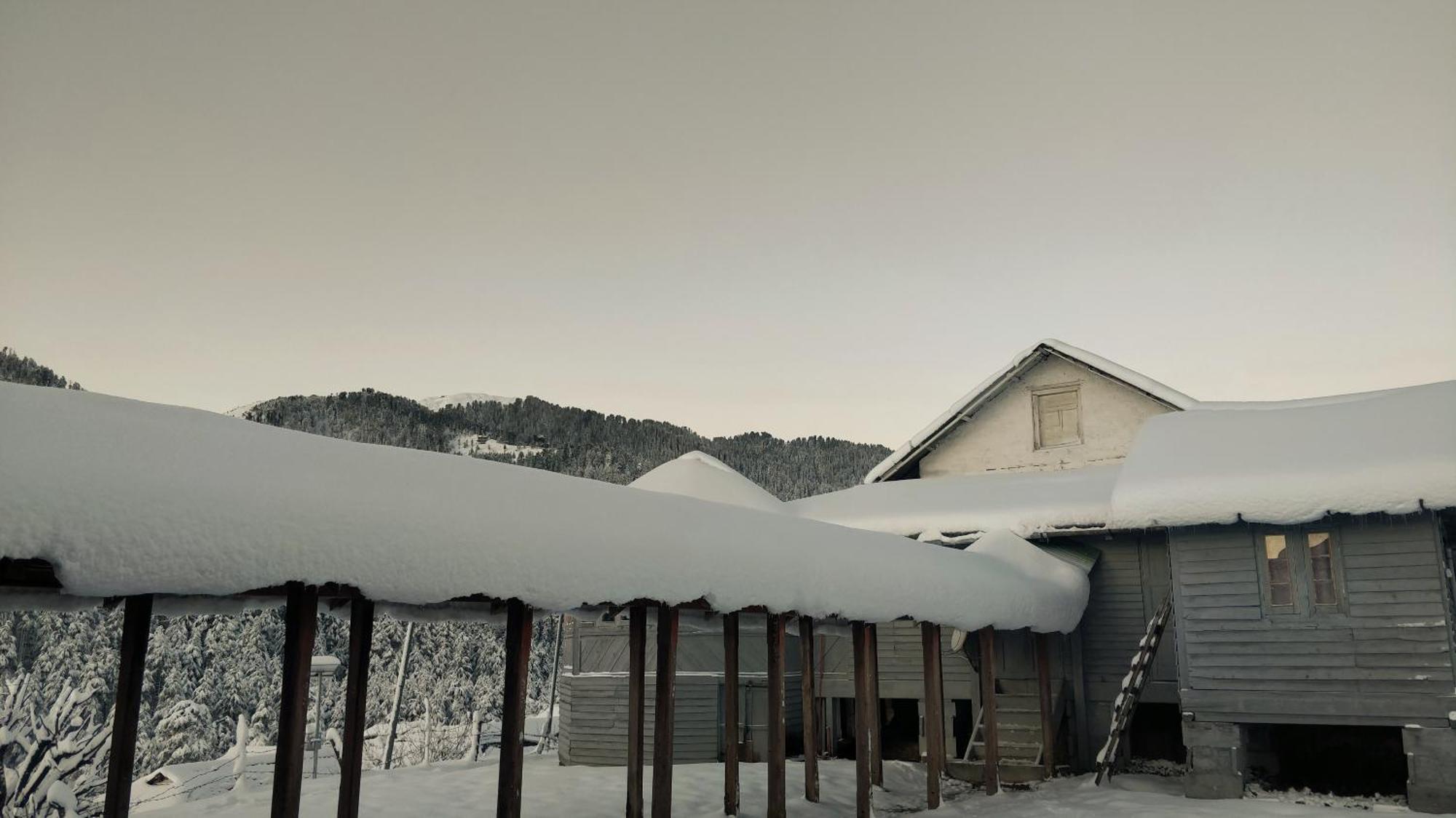 Black Bear Cottage Khajjiar Exterior photo
