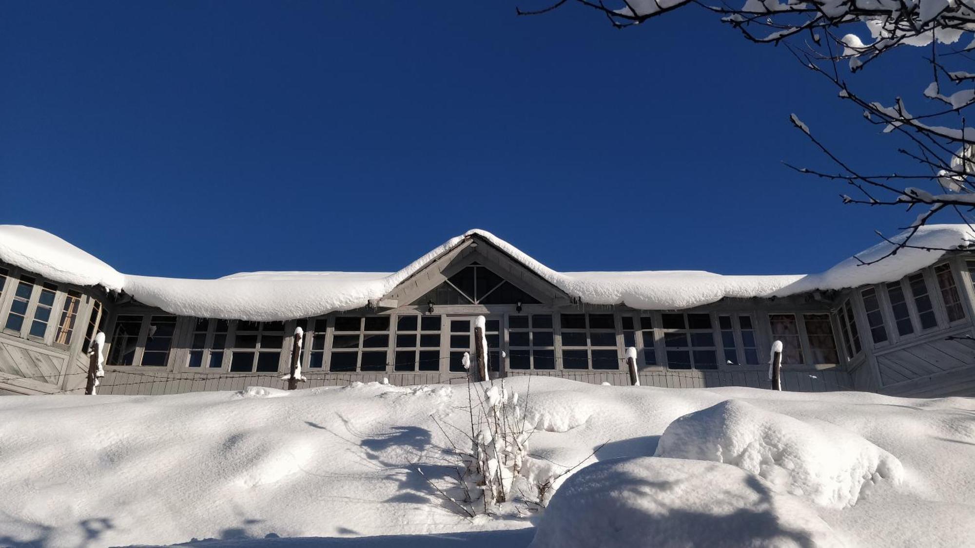 Black Bear Cottage Khajjiar Exterior photo