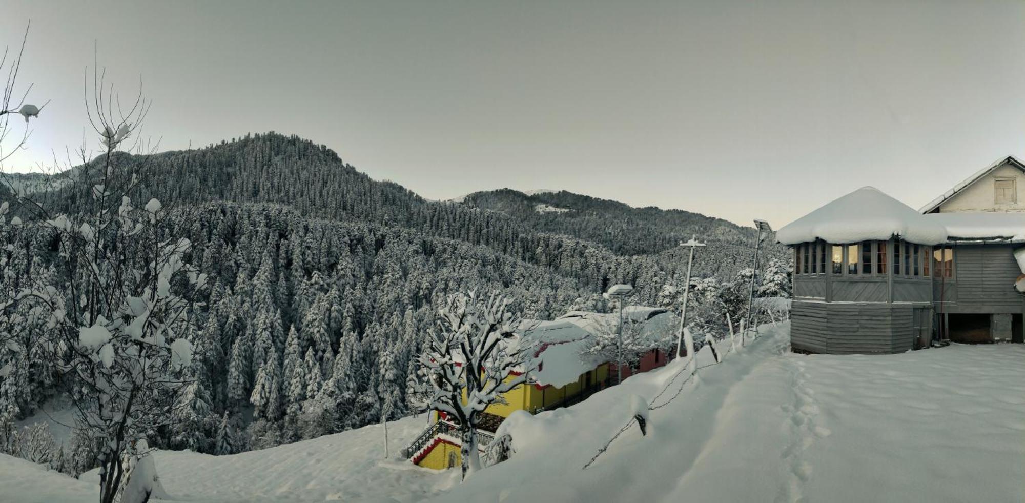 Black Bear Cottage Khajjiar Exterior photo